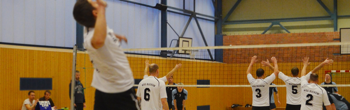 Volleyballverein WSG Buckow